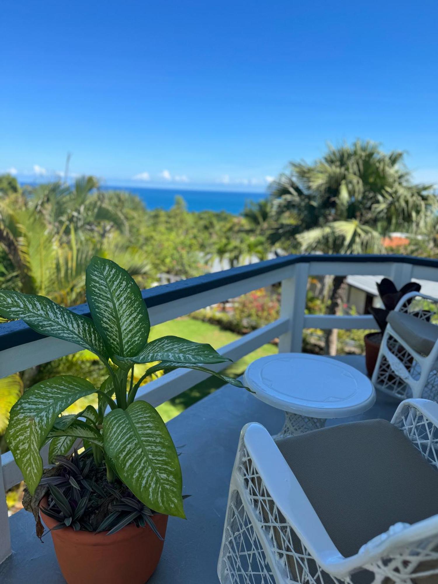 Catalina, Cabrera Oceanview Multi 2 Bd 2 Bath Condo Units With Balcony And Pool מראה חיצוני תמונה