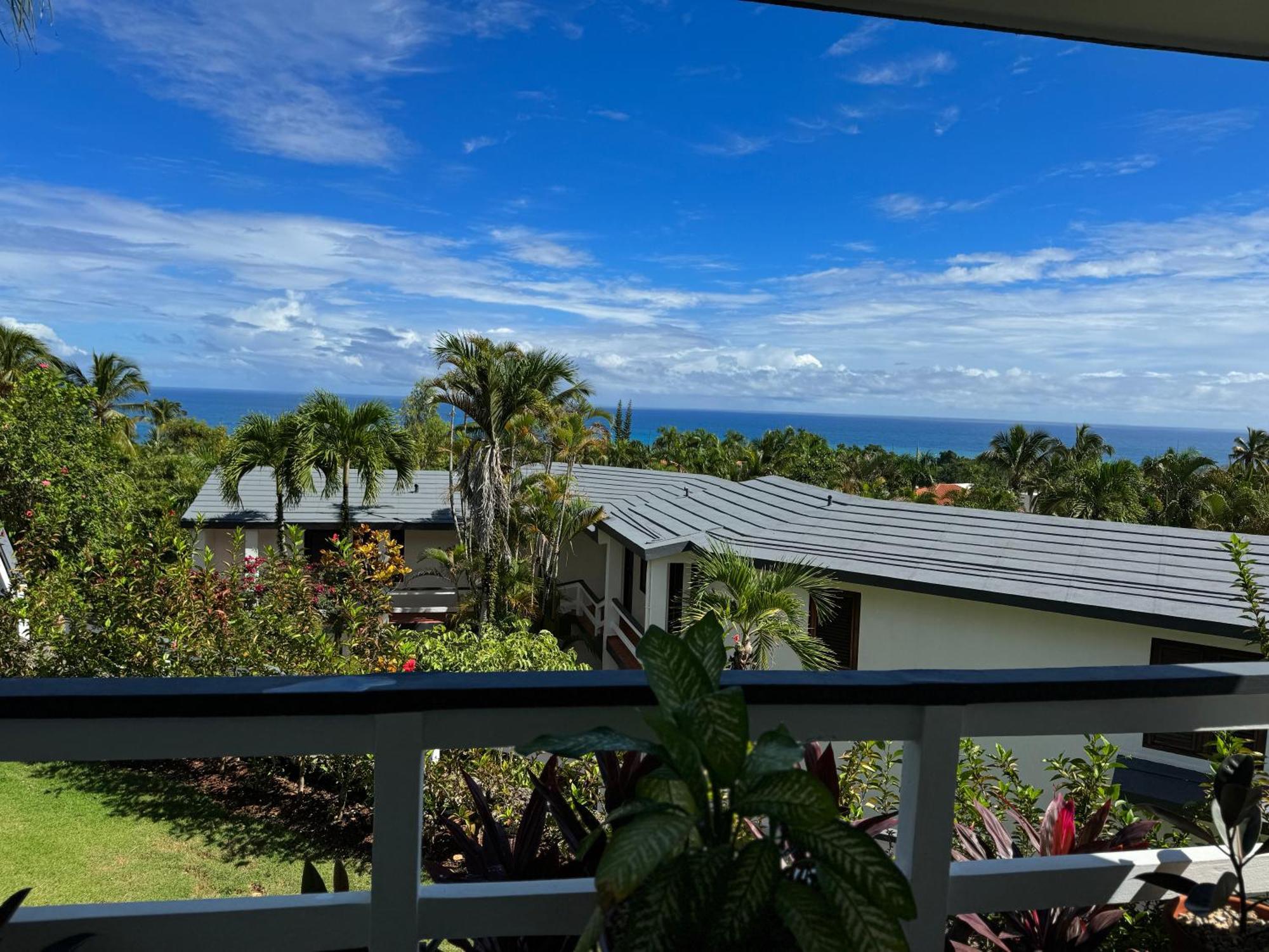 Catalina, Cabrera Oceanview Multi 2 Bd 2 Bath Condo Units With Balcony And Pool מראה חיצוני תמונה