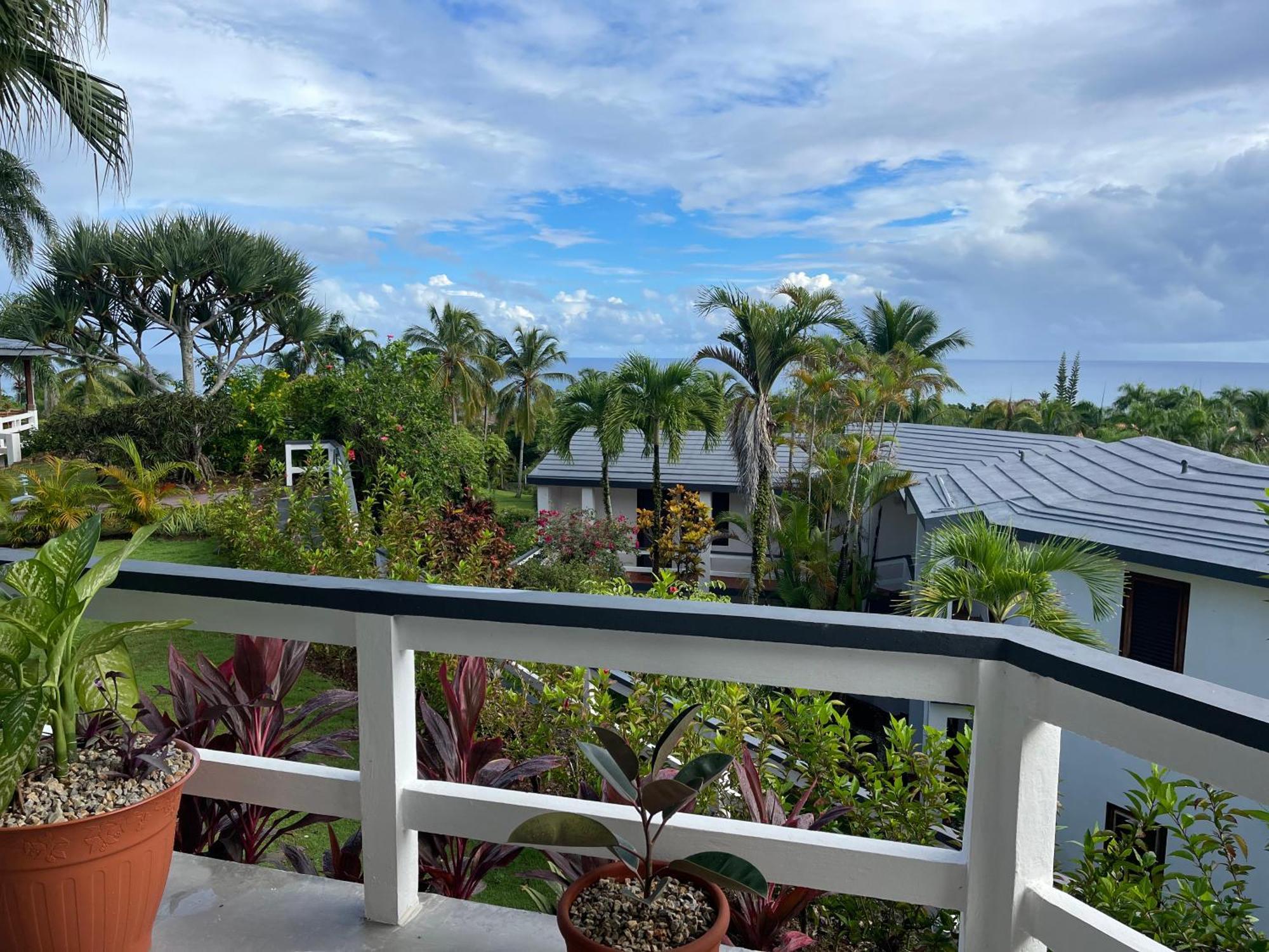 Catalina, Cabrera Oceanview Multi 2 Bd 2 Bath Condo Units With Balcony And Pool מראה חיצוני תמונה